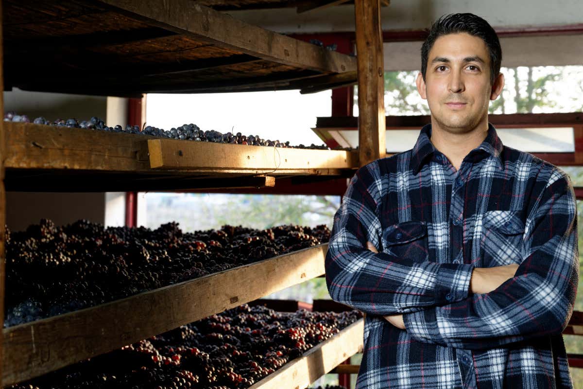 L'Amarone ha troppo alcol? «Si può rimediare senza cambiare il disciplinare»